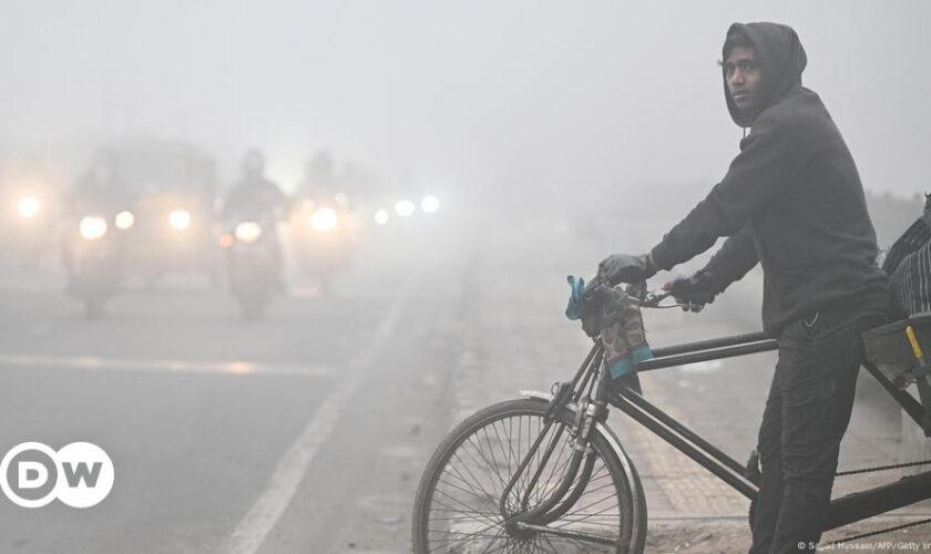 India: Thick fog brings New Delhi to a crawl