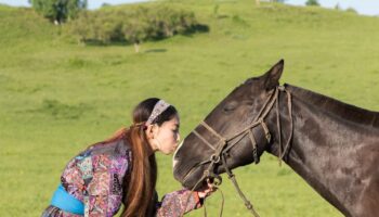 Inquiétude autour d'une pandémie de grippe A: des chevaux contractent le virus sans qu'on s'en aperçoive