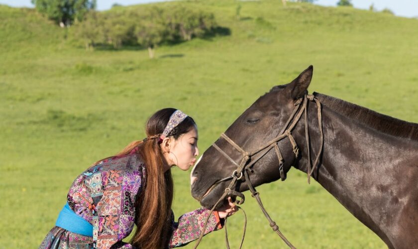 Inquiétude autour d'une pandémie de grippe A: des chevaux contractent le virus sans qu'on s'en aperçoive