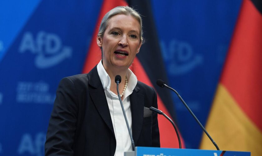 Kanzlerkandidatin der AfD: Alice Weidel: "Möchte mich bei Elon Musk bedanken, der diesen Parteitag streamt"