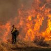 LA wildfires: 'Explosive fire growth' feared as Santa Ana winds due to change today