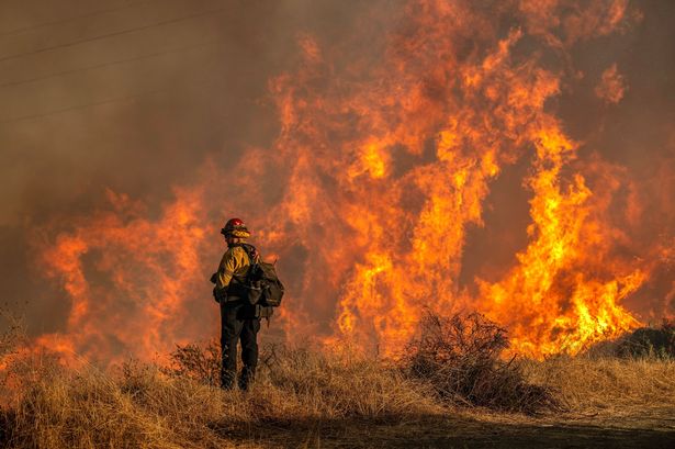 LA wildfires: 'Explosive fire growth' feared as Santa Ana winds due to change today