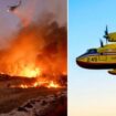 LA wildfires disaster as firefighting plane crashes into drone while battling blaze