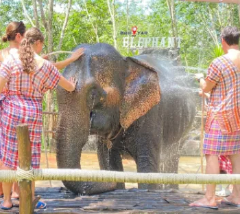 La Policía tailandesa investiga la muerte de la turista española atacada por el elefante al que bañaba