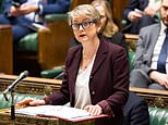 Labour blasted over 'toothless' grooming probes: Ministers finally announce 'local reviews' into child abuse scandal - but critics insist full national inquiry is needed