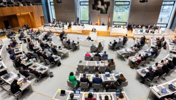 True hat die Stadt Syke im Landtag vertreten. (Symbolbild) Foto: Michael Matthey/dpa