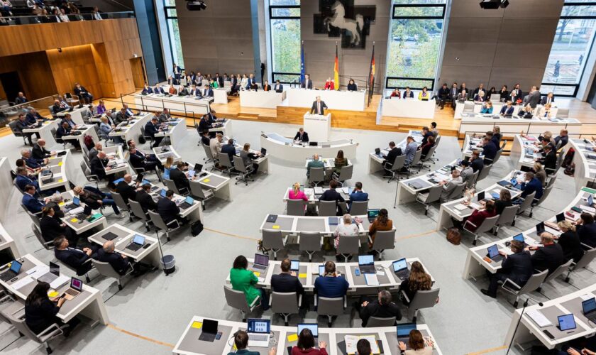 True hat die Stadt Syke im Landtag vertreten. (Symbolbild) Foto: Michael Matthey/dpa