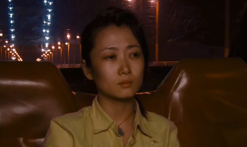 «“Les Feux sauvages”, un film comme un arbre»: entretien avec Jia Zhangke