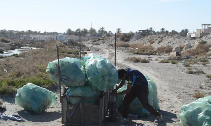 Les barbechas, pilier invisible du recyclage en Tunisie