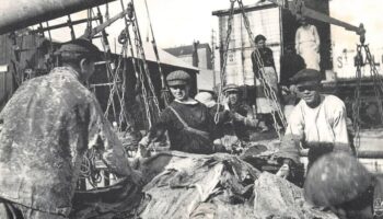 L'histoire oubliée des «p'tits graviers», ces enfants exploités par la pêche à la morue à Saint-Pierre-et-Miquelon