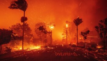 Los Angeles: Hunderttausende auf der Flucht, zerstörte Gebäude – die Waldbrände in Bildern