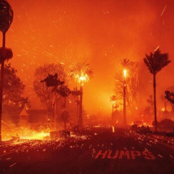 Los Angeles: Hunderttausende auf der Flucht, zerstörte Gebäude – die Waldbrände in Bildern