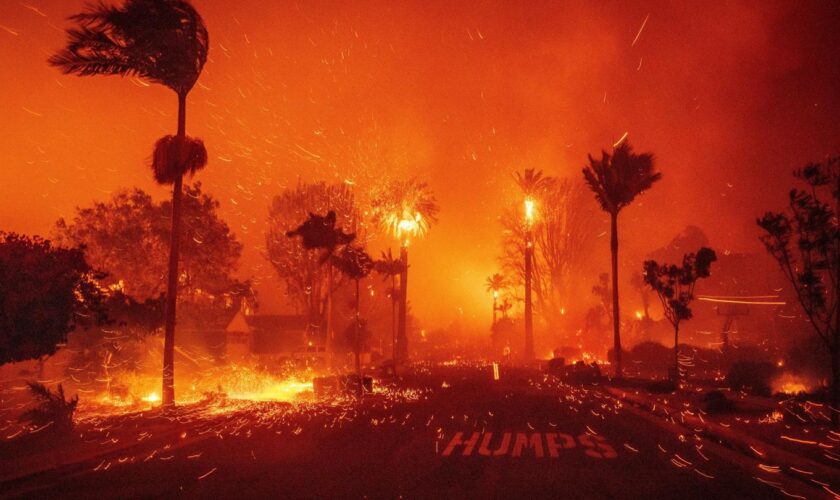 Los Angeles: Hunderttausende auf der Flucht, zerstörte Gebäude – die Waldbrände in Bildern