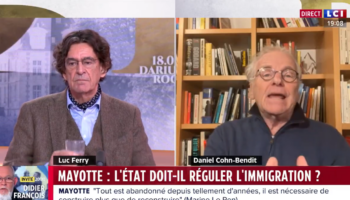 Mayotte : Daniel Cohn-Bendit appelle à «freiner l’immigration», cause d’un «grand remplacement» sur l’île