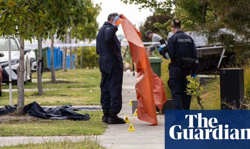 Melbourne brawl that left two men dead began with birthday party argument, police say