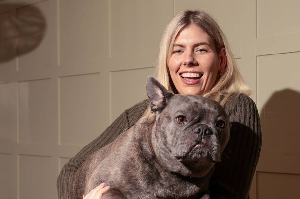 'My French bulldog is absolutely massive - he could be the biggest in the world'