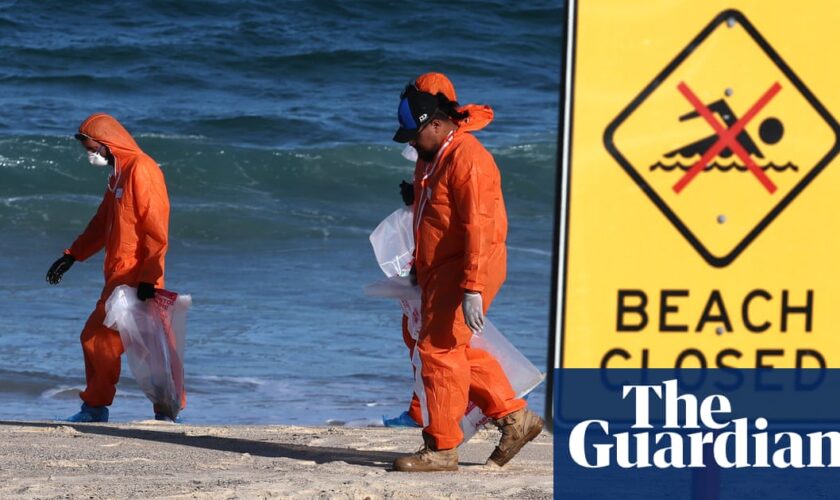 Mystery balls close nine northern Sydney beaches months after fatbergs washed ashore