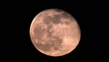 Der erste Vollmond des Jahres wird auch Wolfsmond genannt