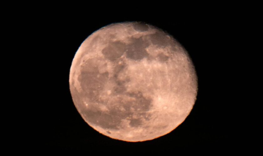 Der erste Vollmond des Jahres wird auch Wolfsmond genannt