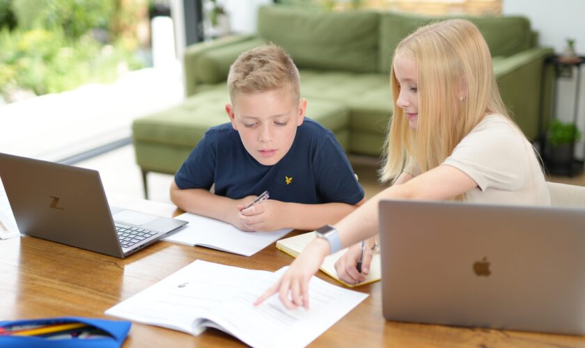 New Year, new start. Could online schooling be right for your child? How to decide what’s best for your family