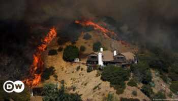 News kompakt: 24 Tote in Los Angeles, Winde wieder stärker