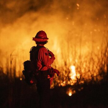 «On a tout perdu» : le désarroi des Français touchés de plein fouet par les incendies de Los Angeles