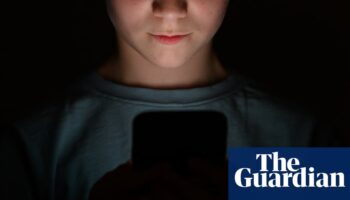 Online safety laws ‘unsatisfactory’ and ‘uneven’, says UK science minister