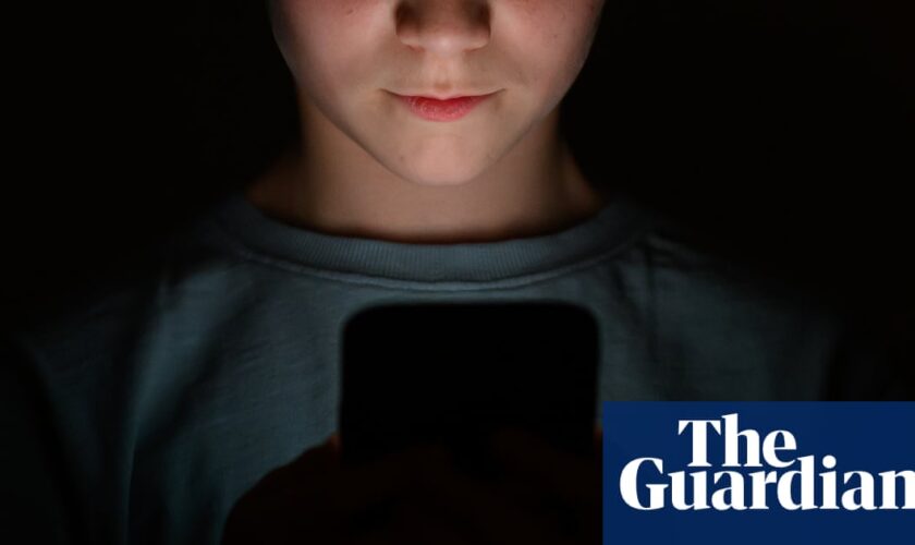 Online safety laws ‘unsatisfactory’ and ‘uneven’, says UK science minister