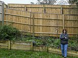 Our neighbour ruined our property after putting up a huge spiked 'privacy' fence - it's like we're prisoners in Colditz Castle