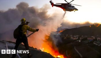 Pacific Palisades: The celebrity LA area ravaged by wildfire