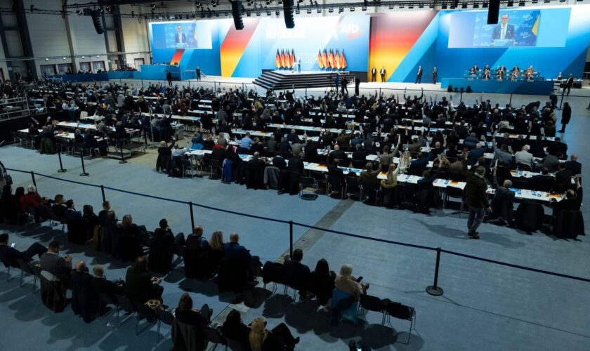 Stundenlang wird auf dem AfD-Parteitag über das Programm zur Bundestagswahl debattiert. Foto: Sebastian Kahnert/dpa