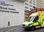 Police launch investigation into HUNDREDS of surgery deaths at one of the South-East's largest NHS Trusts after whistleblowers speak out