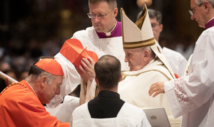 Pope Names Robert McElroy, an Ally on Immigration, as Cardinal in Washington