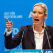 Profil atypique et discours radical : Alice Weidel, la "Dame de fer" de l'extrême droite allemande