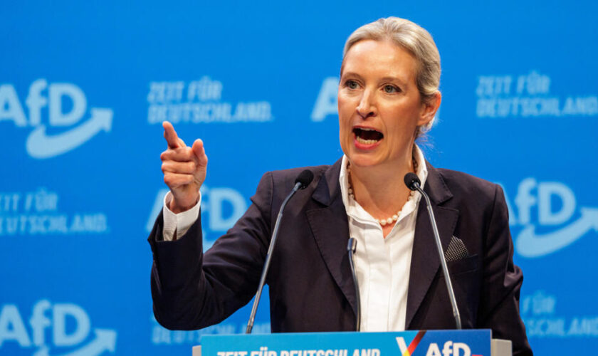 Profil atypique et discours radical : Alice Weidel, la "Dame de fer" de l'extrême droite allemande