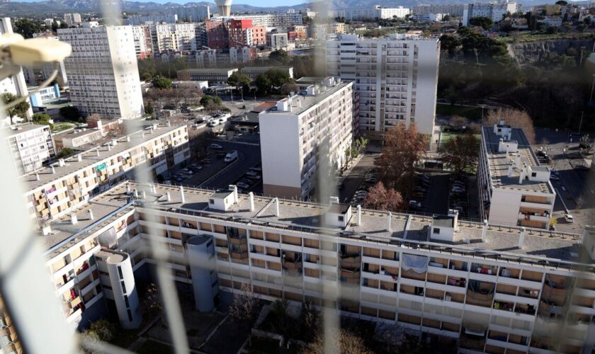 « Punir, si besoin jusqu’à la mort » : le destin tragique d’Evandro, petite main du trafic de stupéfiants