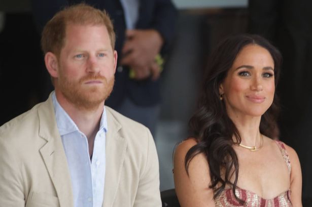 Real reason Meghan Markle still 'needs Prince Harry' in 'professional split'