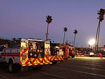 Revealed: LA fire department begged for $100M to fix old trucks and replace 16 axed positions just two months before wildfires took hold