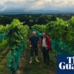 Ripe for the picking? Irish wine on the up – but ‘nobody will retire rich’