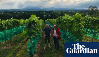 Ripe for the picking? Irish wine on the up – but ‘nobody will retire rich’