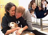 Royal fans gush over hearing Meghan Markle and Prince Harry's children in tribute to beloved family dog