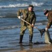 Schwarzes Meer: Mindestens 32 tote Meeressäuger durch Ölpest