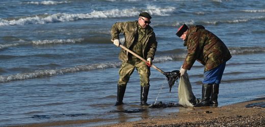 Schwarzes Meer: Mindestens 32 tote Meeressäuger durch Ölpest