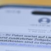 Auf einem Smartphone ist eine Betrugs-SMS zu lesen, in der Kriminelle ein Paket ankündigen und dafür Zollgebühren einfordern. Fo