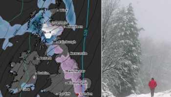 Snow maps show exact date '2cm per hour' blizzard will hit 1,000km stretch of UK