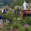 Südafrika: Rettungsaktion in Stilfontein beendet - 246 Bergleute aus illegaler Goldmine gerettet, 78 Tote geborgen