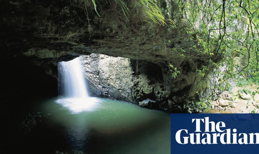 Suspected human bones found in Queensland national park