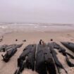 Sylt: Historisches Schiffswrack an Strand freigespült