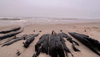 Sylt: Historisches Schiffswrack an Strand freigespült