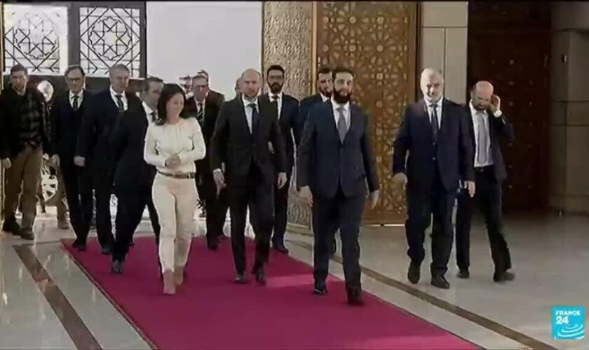 Syrie : visite des chefs de la diplomatie française et allemande